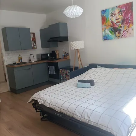 Appartement Studio Cosy - Hyper-Centre - Cour Privee Parking Gratuit A 2 Min