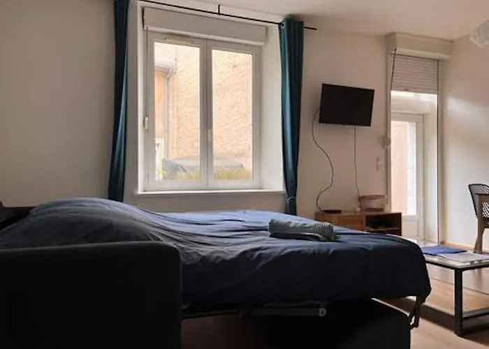 Joli Au Rdc Avec Cour * Toul